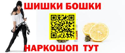 индика Лесосибирск