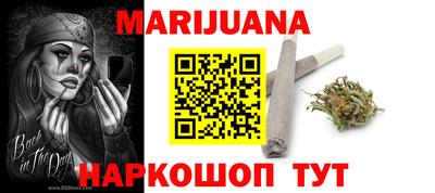 индика Лесосибирск
