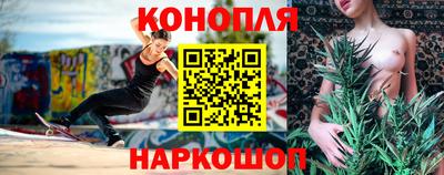 индика Лесосибирск