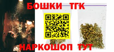 индика Лесосибирск