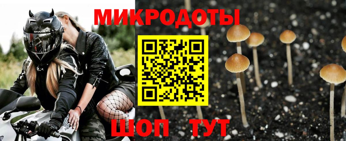 Псилоцибиновые грибы мухоморы Чапаевск