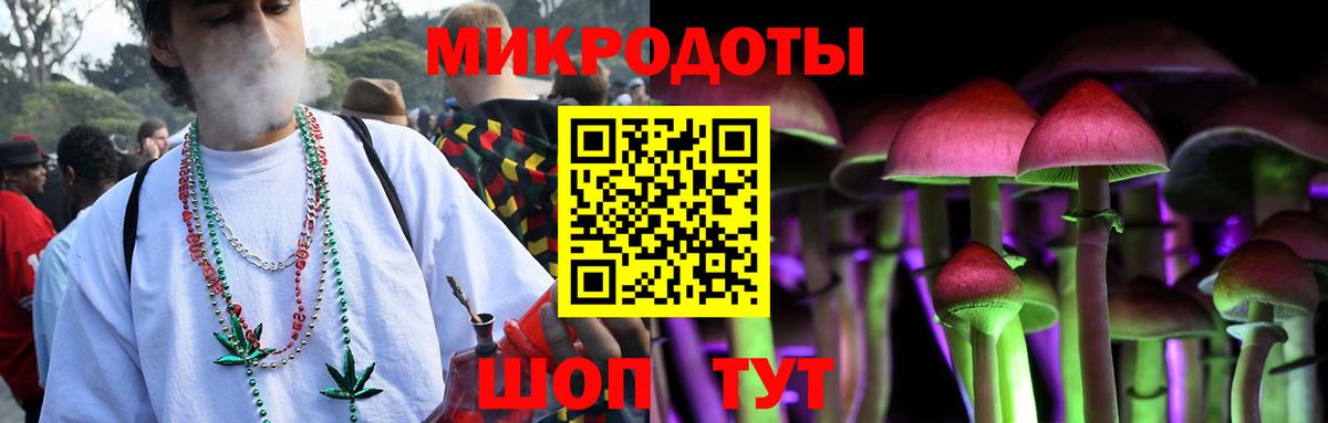 Галлюциногенные грибы GOLDEN TEACHER  где купить наркоту  Чапаевск  Вход с VPN 